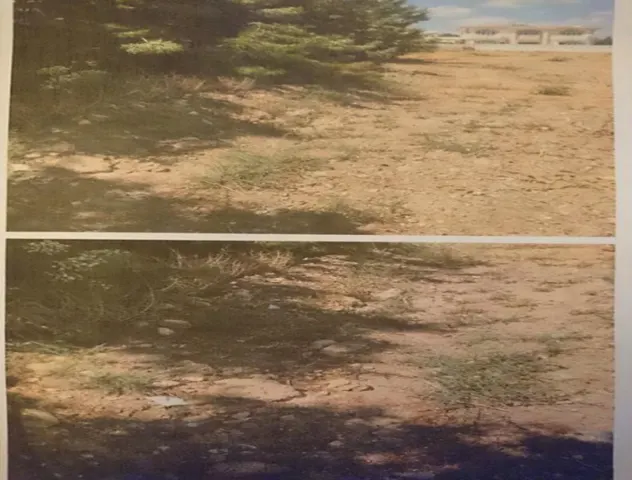 Yeşilova (Mandriya) Şehitliği